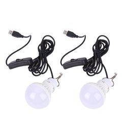 Portable USB Powered LED Light