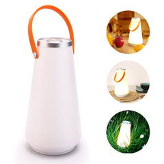 Portable Wireless LED Light