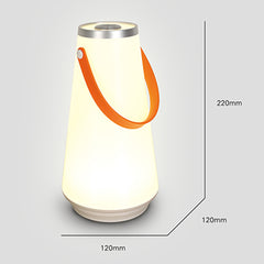 Portable Wireless LED Light