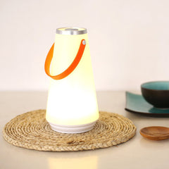 Portable Wireless LED Light